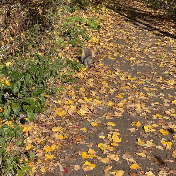 Meet your Posher, Jihane - Picture 1 of 1